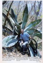 Agave valenciana y Oscar Valencia